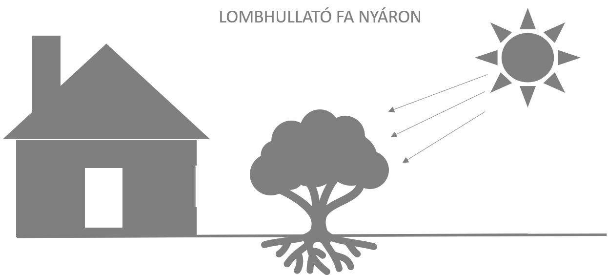 lomhullato_fa_nyaron